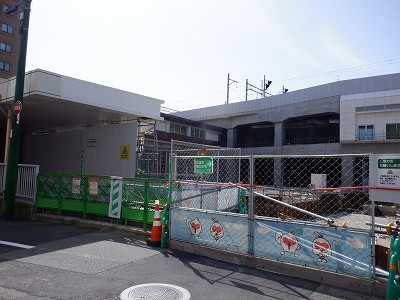 �V���w�摜