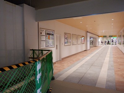 �V���w�摜