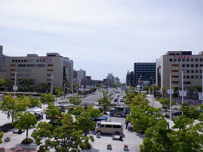 �V���w�摜