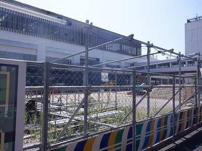 �V���w�摜