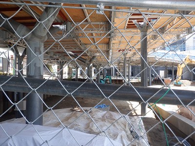 �V���w�摜