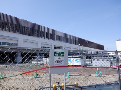 �V���w�摜