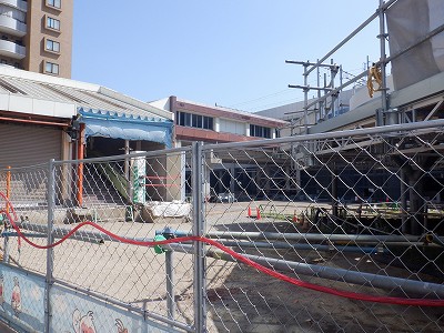 �V���w�摜