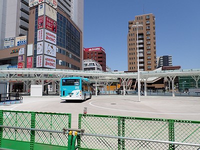 �V���w�摜