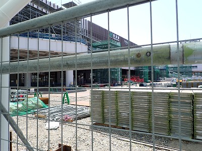 �V���w�摜