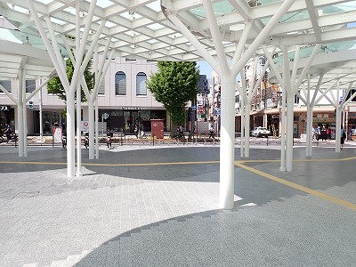 �V���w�摜