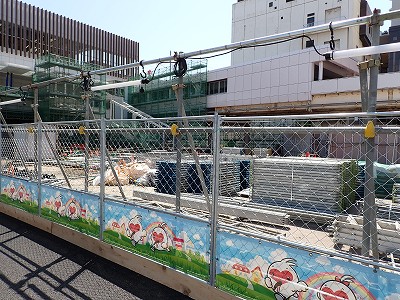 �V���w�摜