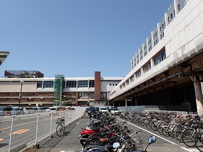 �V���w�摜