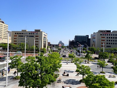 �V���w�摜