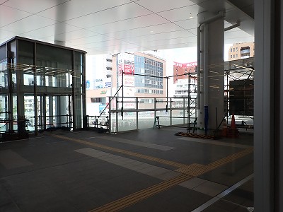 �V���w�摜