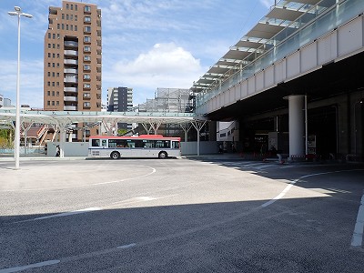 �V���w�摜