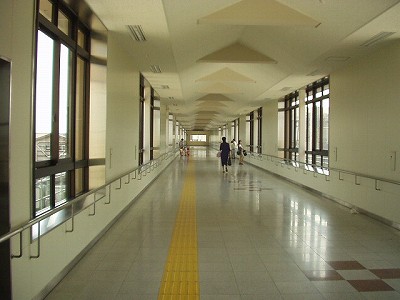 VÉw摜