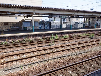 VÉw摜