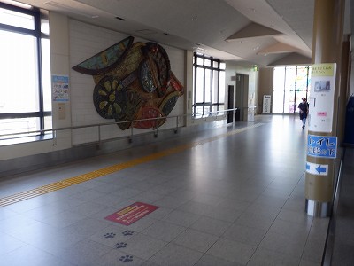 VÉw摜