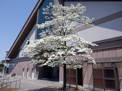 VÉw摜