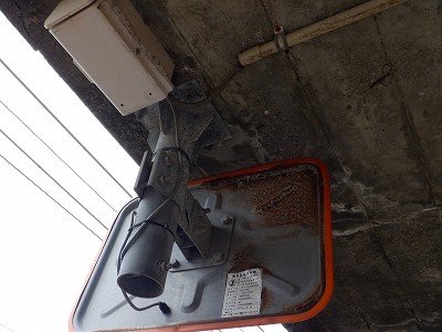 LԐw摜