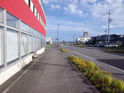 w摜