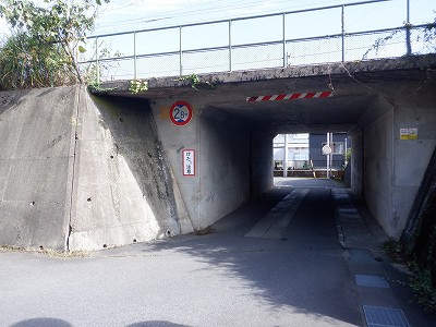 ˉw摜