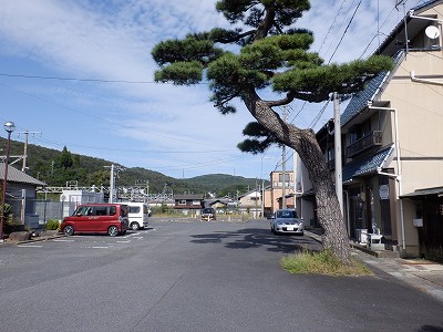 ˉw摜