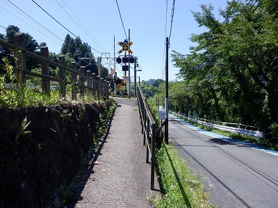 w摜
