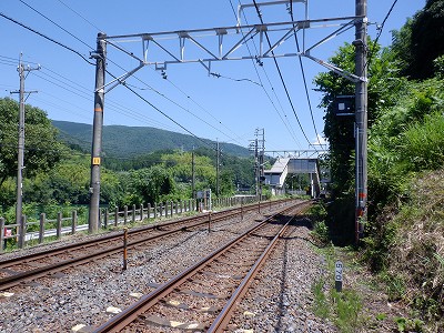 w摜