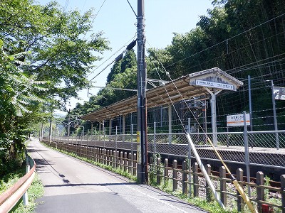 w摜