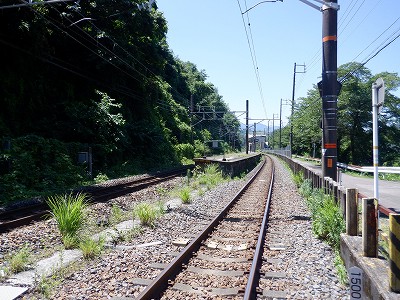 w摜