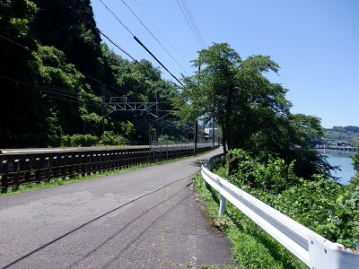w摜