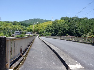 w摜