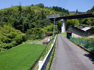 w摜
