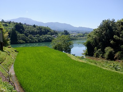 w摜