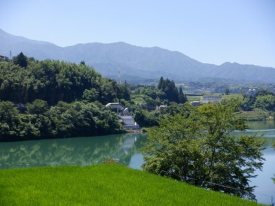 w摜