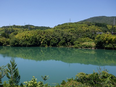 w摜