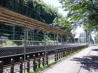 w摜
