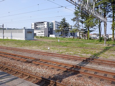 w摜