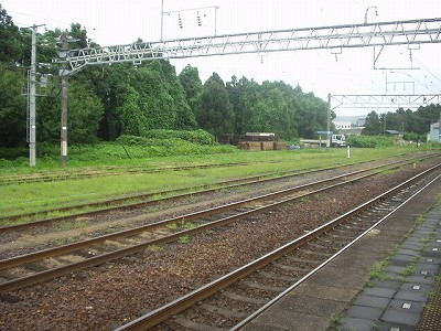 w摜