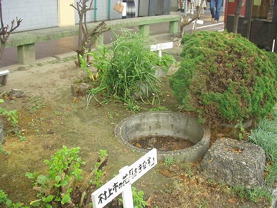 w摜