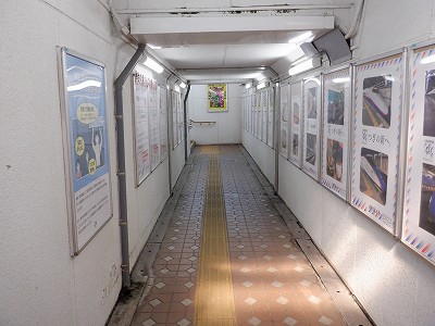w摜