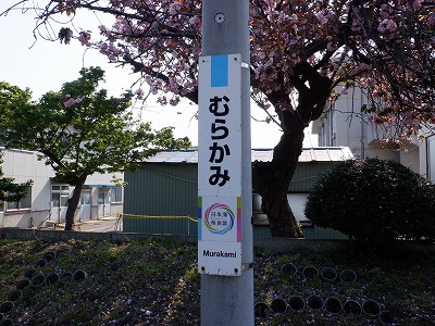 w摜