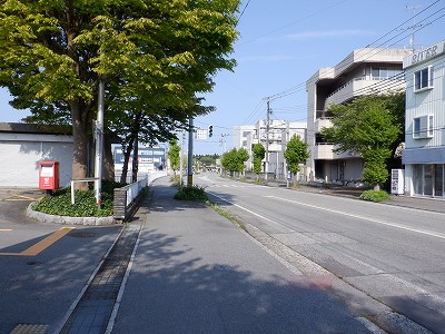 w摜