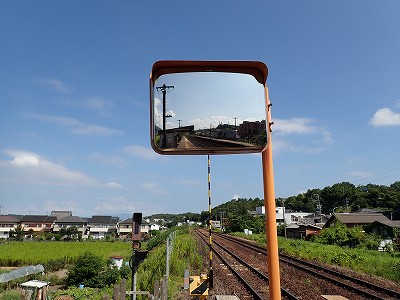 �P�w�摜