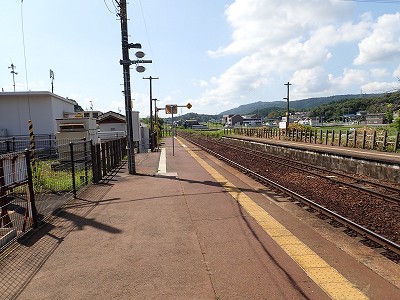 �P�w�摜