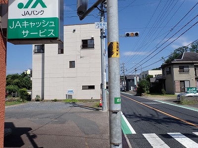 �P�w�摜
