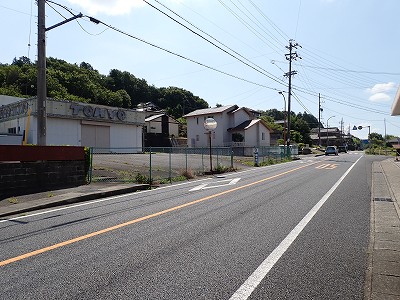 �P�w�摜