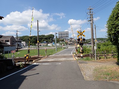 �P�w�摜