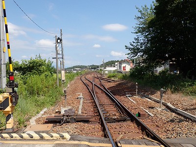 �P�w�摜