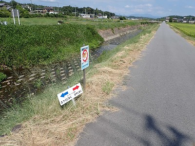 �P�w�摜