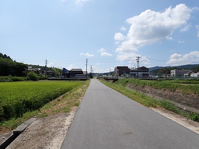 �P�w�摜