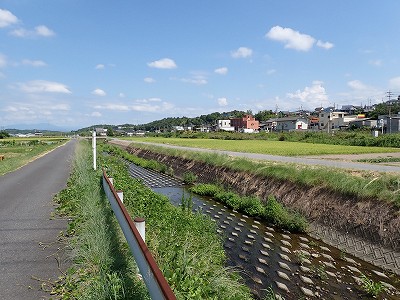 �P�w�摜