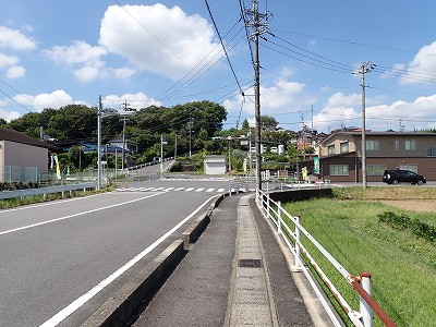 �P�w�摜